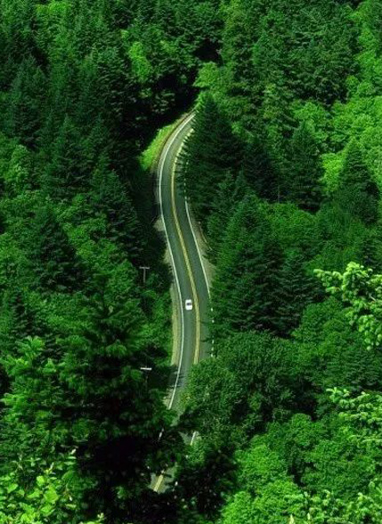 水蜜桃一二二区